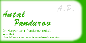 antal pandurov business card